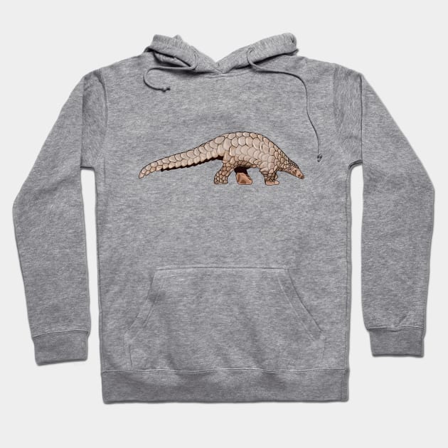 Pangolin cartoon illustration Hoodie by Miss Cartoon